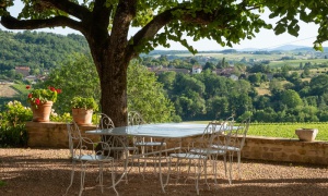 Wine-producing property